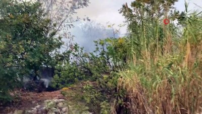  Samandağ’daki yangında arı kovanları kül oldu