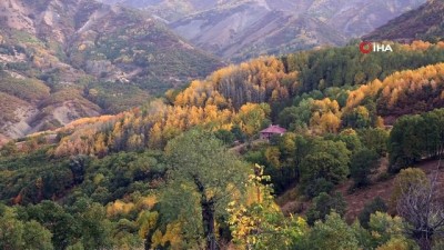  Tunceli’de sonbahar güzelliği renk cümbüşü sunuyor
