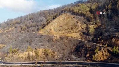  Yanan bölgeler havadan görüntülendi