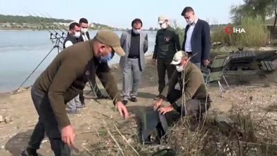 begendik -  17 kiloluk dev sazan balığını Belediye Başkanı Şahin gölete bıraktı Videosu