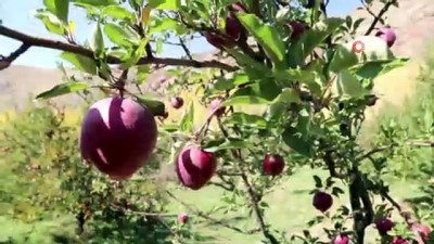  Kapalı Çarşı esnafıyken İran sınırındaki bahçesiyle örnek oldu