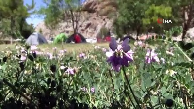 bulduk -  - Aladağlar’da 'sosyal mesafeli' çadır kampı Videosu