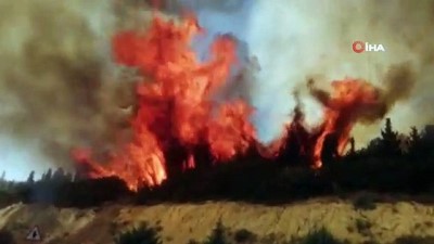  İzmir'de korkutan orman yangını