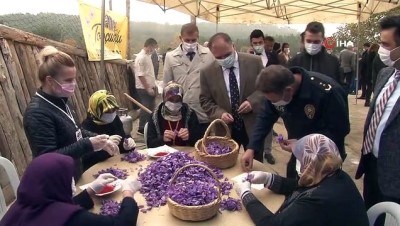  Karabük'te 4. Safran Festivali gerçekleşti