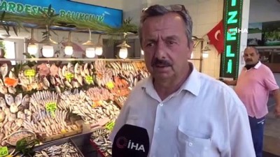 uttu -  Hamsinin fiyatını gören şaşkınlığını gizleyemiyor Videosu