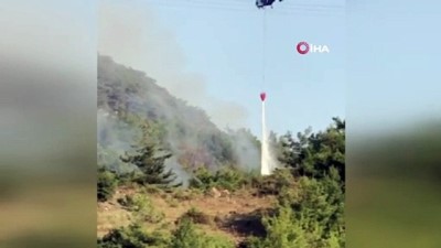 ormanli -  Payas’taki orman yangınında 1 hektar alan zarar gördü Videosu