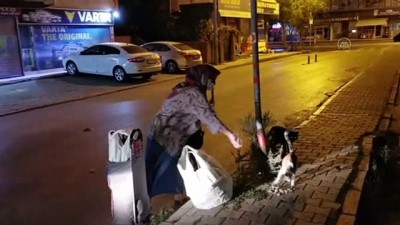 Sokak hayvanlarına 6 yıldır pazar arabasıyla yiyecek taşıyor - KOCAELİ