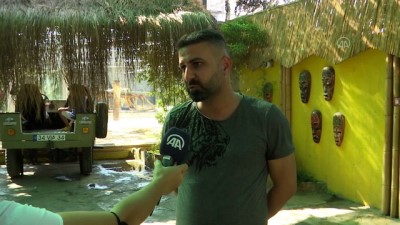 kuresel isinma - Türkiye'nin yavru aslan ve kaplanları Afrika yolcusu - İSTANBUL Videosu