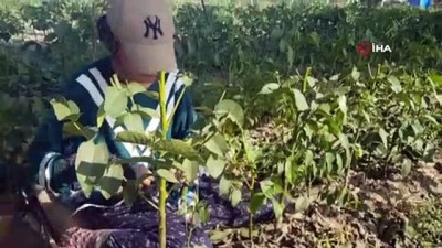 kooperatif -  68 yaşında aldığı kurs hayatını değiştirdi, şimdi dünya ülkelerine pazarlıyor Videosu