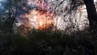 yangin yeri -  Kocaeli'nin Gebze ilçesinde ormanlık alan alevlere teslim oldu Videosu