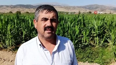 hava sicakliklari -  Sıcak hava mısır üreticisini tedirgin ediyor Videosu