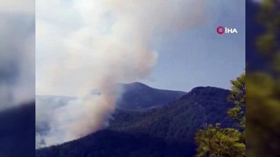  Antalya'daki yangında 10 hektarlık orman yandı