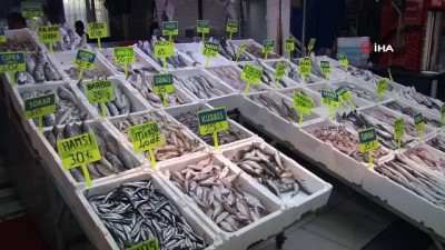 karaci -  Balon balığı etinin fileto gibi satıldığı iddiası Videosu