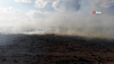 sonbahar -  - Bolu’da yangında zarar gören 40 hektarlık alan ağaçlandırılacak Videosu
