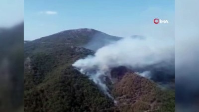 orman yangini -  Gündoğmuş'ta orman yangını Videosu