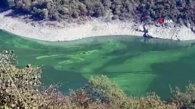 olu balik -  Hasan Uğurlu Barajı yeşile büründü Videosu