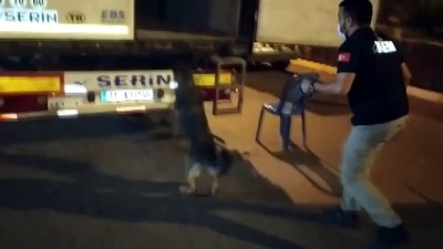 dedektor kopek - Kaçakçılık denetimleri: 7 gözaltı - ADANA Videosu