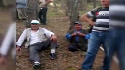 orman yangini -  - Kastamonu’daki iki ayrı ilçede çıkan orman yangını söndürüldü Videosu