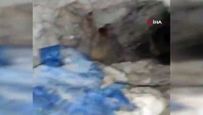 sinir otesi -  MSB: 'Kahraman Komandolarımızın tespit ettiği terör örgütü PKK’ya ait bir mağara kullanılamaz hale getirildi' Videosu