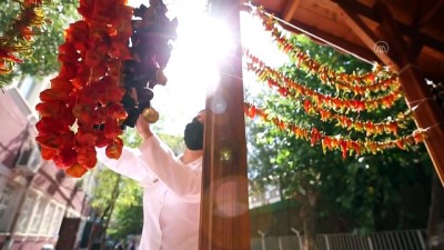 organik gida - Salgın, geleneksel yöntemlerle hazırlanan gıda ürünlerine talebi artırdı - DİYARBAKIR Videosu