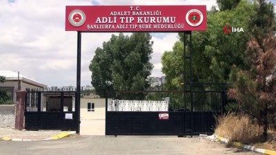 elektrik diregi -  Şanlıurfa'da feci olay...Arıza içi çıktığı elektrik direğinde asılı kaldı Videosu