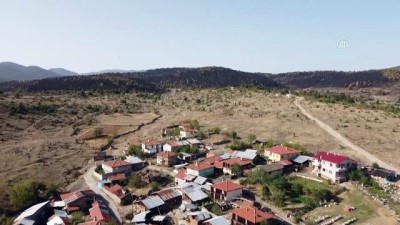 sonbahar - Yanan ormanlık alan ağaçlandırılacak - BOLU Videosu