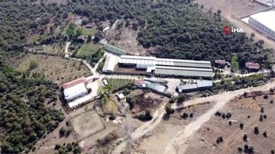 mahkeme karari -  15 kaçak yapının tespit edildiği Türkkan’ın çiftliğinde aylardır yıkım yapılamıyor Videosu