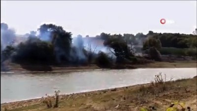 aniz yangini -  - Anız yangını ağaçlık alana sıçradı Videosu