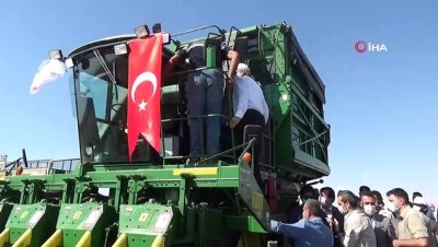 tarim urunu -  Diyarbakır’da pamuk hasadı başladı Videosu
