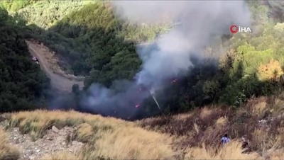  Gemlik Umurbey’de yangın