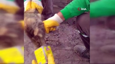 temizlik iscisi -  Kafası teneke kutuya sıkışan kediyi temizlik işçisi kurtardı Videosu