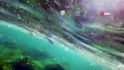  Yenikapı Sahili’nde kirlilik su altı drone kamerasında