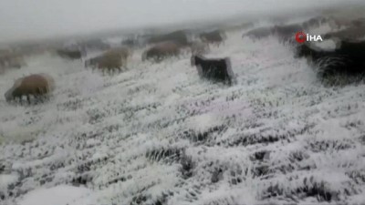  Başkale’de mevsimin ilk karı yağdı