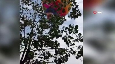  - Çin’de sıcak hava balonunun sepetine asılı kalan çalışan metrelerce yüksekten yere çakıldı