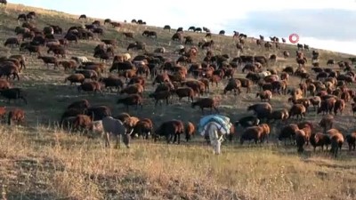  Göçerlerin zorlu dönüş yolculuğu başladı