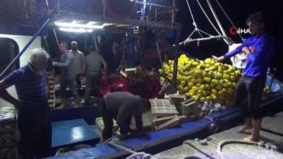  Kasalar dolusu palamutla döndüler