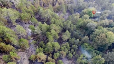 yildirim dusmesi -  Tekrar başlayan orman yangını kısmi olarak kontrol altına alındı Videosu