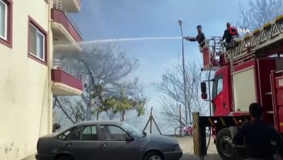  Orman yangını kente sıçradı