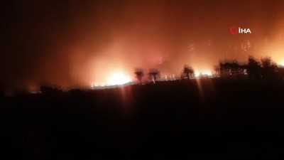  Suriye’de devam eden orman yangını Hatay'dan da görüldü