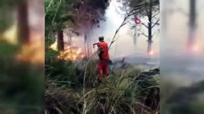 orman alani -  Tarsus'ta 3 hektar orman alanı yandı Videosu