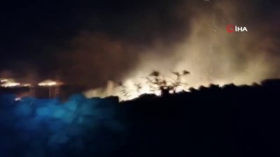  Bodrum’da otluk yangını