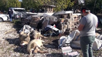 20 dakika -  Afyonkarahisar’da koyunların zehirlendi iddiası Videosu