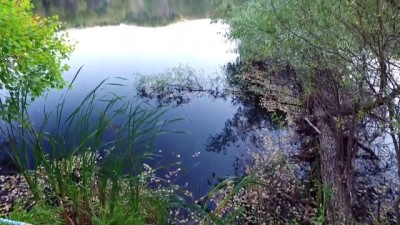 begendik - Çubuk Karagöl sonbaharda ziyaretçi akınına uğruyor - ANKARA Videosu