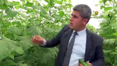  Devlet destek verdi, çiftçiler köylerine dönüş yaptı