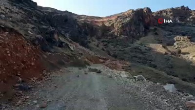 kayali -  Elazığ'da dağ keçileri sürü halinde görüntülendi Videosu