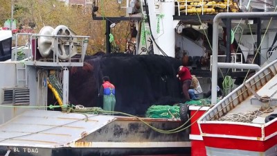 Marmara'da hamsi balıkçının yüzünü güldürüyor - TEKİRDAĞ