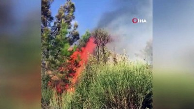 makilik alan -  Köyündeki yangını görüntüleyen muhtar böyle sitem etti Videosu