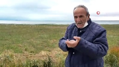 balik nesli -  Beyşehir Gölü kıyılarında sular çekildi Videosu