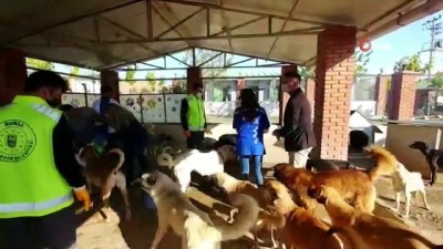  İzmir’deki can dostlar unutulmadı