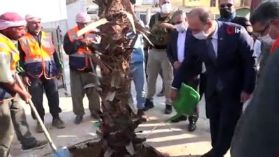 palmiye agaci -  Barış Pınarı bölgesi yeşillendiriliyor Videosu